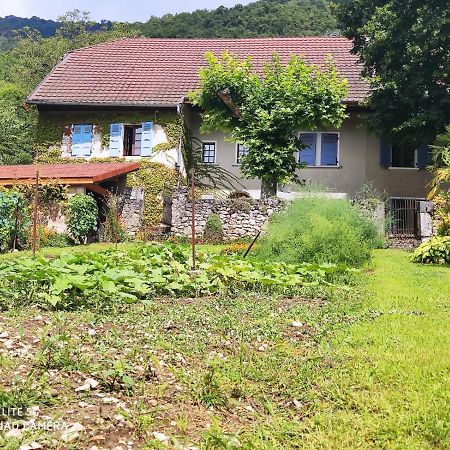 Du Vent Dans Les Arbres -120M2 Belle Vue Sur Le Lac Chindrieux エクステリア 写真