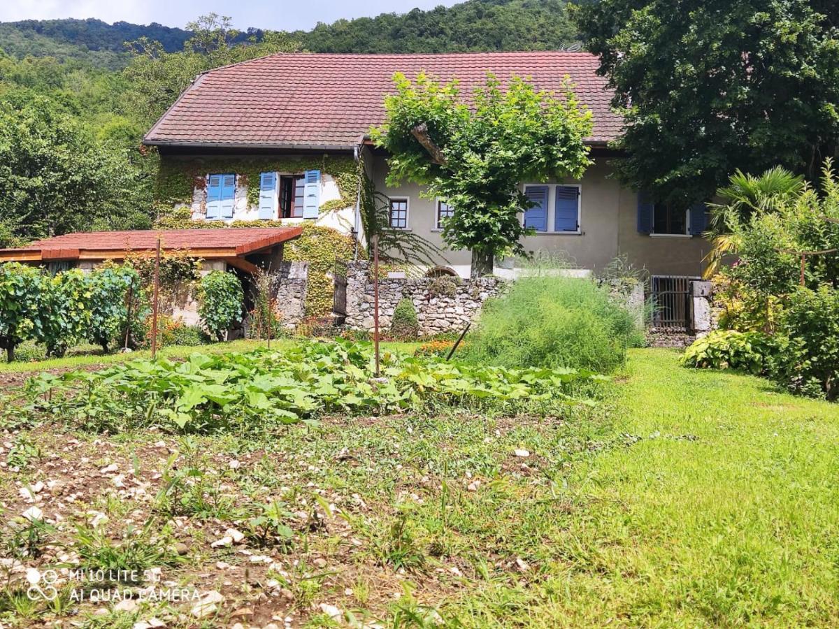 Du Vent Dans Les Arbres -120M2 Belle Vue Sur Le Lac Chindrieux エクステリア 写真