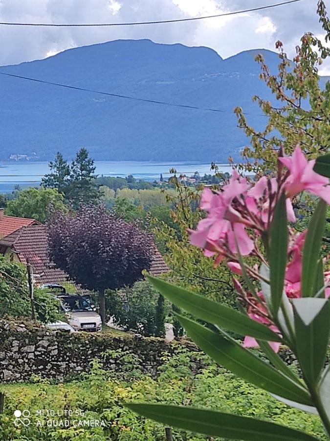 Du Vent Dans Les Arbres -120M2 Belle Vue Sur Le Lac Chindrieux エクステリア 写真