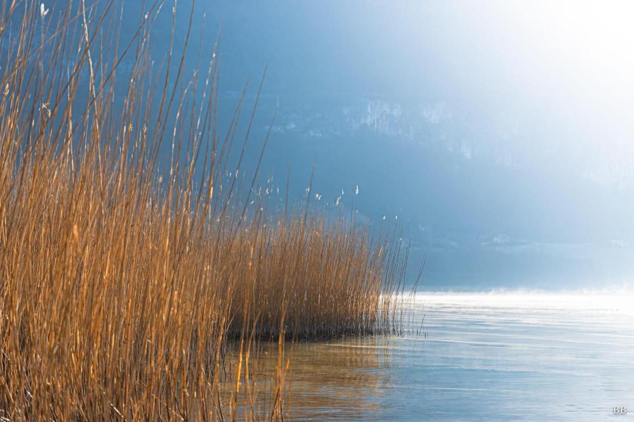 Du Vent Dans Les Arbres -120M2 Belle Vue Sur Le Lac Chindrieux エクステリア 写真