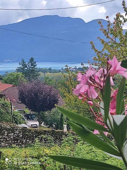 Du Vent Dans Les Arbres -120M2 Belle Vue Sur Le Lac Chindrieux エクステリア 写真
