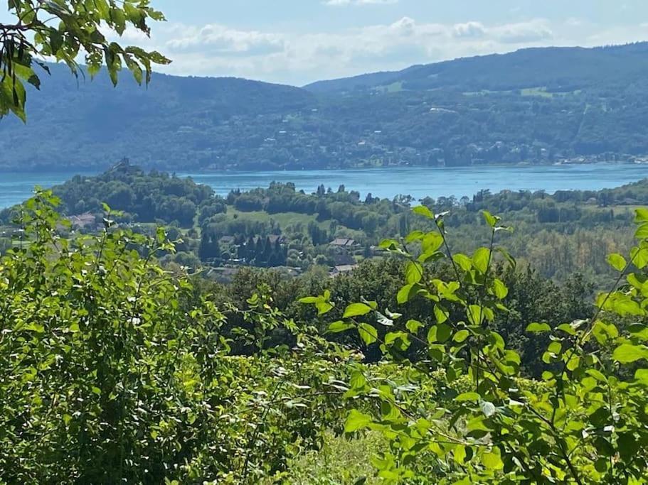 Du Vent Dans Les Arbres -120M2 Belle Vue Sur Le Lac Chindrieux エクステリア 写真